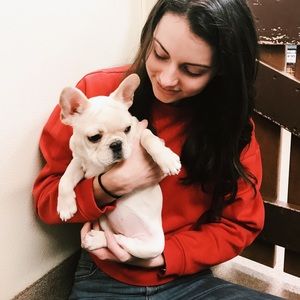 Red Cropped H&M sweatshirt